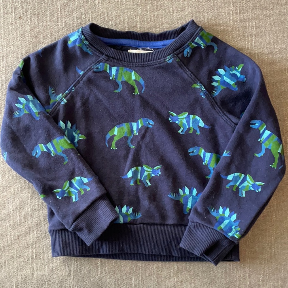 Sovereign Code toddler boys blue dinosaur sweatshirt Size 2T